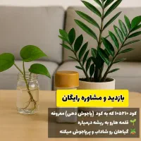 بازدید و مشاوره رایگان|خدمات باغبانی و درختکاری|دوگنبدان, |دیوار