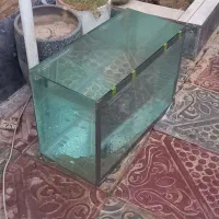 اکواریوم