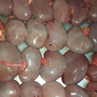 دل و قلوه   گوسفندی|خوردنی و آشامیدنی|تهران, شهرک ولیعصر شمالی|دیوار