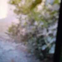فروش زمین ۲۰۰۰ متری باغ محدوده تالار طاووس
