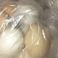 تخم مرغ محلی