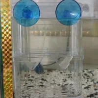 زایشگاه ماهی گوپی و ....