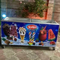 یخچال بستنی سالم در حد نو ضمانتی