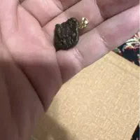 پلاک گردنی|بدلیجات|یزد, |دیوار