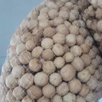 لیمو خشک شیراز