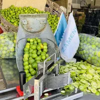 اسلایسر کشویی تیغه سیاه لیمو ترش|خردکن، آسیاب، غذاساز|داراب, |دیوار