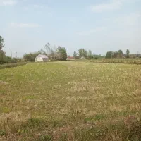 فروش ۲هکتار شالیزار و زمین مسکونی اطراف شهرآستانه|فروش زمین و ملک کلنگی|آستانه اشرفیه, |دیوار