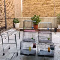 قفس و پایه قفس طوطی