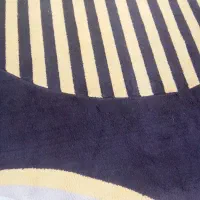 فرش ۱۲متری فانتزی|فرش|گرگان, |دیوار
