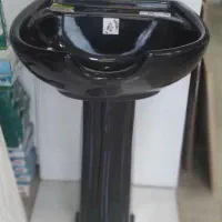 سرشور ایستاده