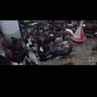 فروش جوجه محلی