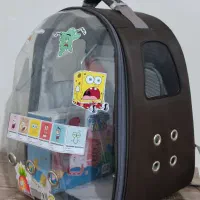 کیف حمل سگ و گربه