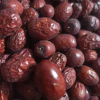 عناب ارگانیک، درشت، امسالی|خوردنی و آشامیدنی|تربت جام, شهرک آزادگان|دیوار