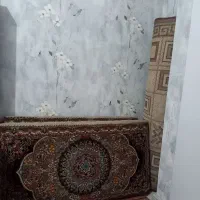 یک جفت پشتی ۱۰۰۰شانه