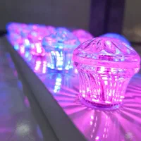 فروشنده خانم