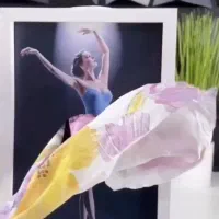 جا ی و استند دستمالی کاغذی  طرح بالرین