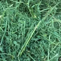 فروش یونجه بسته سنتی به مقدار ۱۷۰ عدد