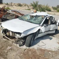 خریدار و فروشنده تصادفی ایرانی خارجی