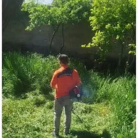 علف زنی باغات با دستگاه علف زن نمونه