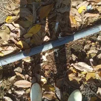 لوله شیشه 240متر