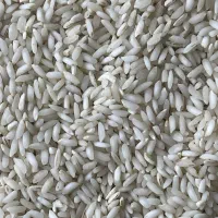 پخش‌ برنج عنبربو شوشتر واهواز