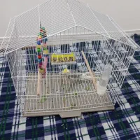 پرند|پرنده|اهرم, |دیوار