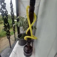 قلیان چوب سرخ