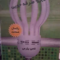 لامپ 105 وات|لامپ و چراغ|تهران, دریاچه شهدای خلیج فارس|دیوار