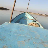 قایق باموتور