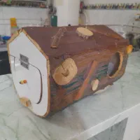 لانه.عروس هلندی. طوطی برزیلی