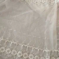 پرده با استر