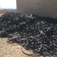 خریدار نوار تیپ ضایعاتی