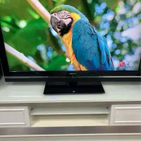 تلویزیون برند سونی|تلویزیون و پروژکتور|نیشابور, هفده شهریور|دیوار