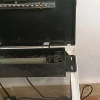 آکواریوم|ماهی|رشت, استادسرا|دیوار