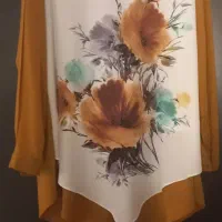 مجلسی
