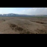 کاه|لوازم جانبی حیوانات|ماکو, |دیوار