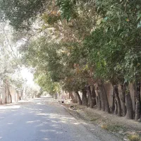 ۵۰۰ متر زمین ،موقعیت استثنایی، سهیلیه