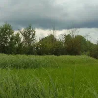 فروش زمین کشاورزی با امکان تغییر کاربری