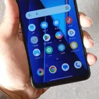 شیامی پکوc65