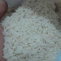 برنج دمسیاه تیل آباد باعطرعالی|خوردنی و آشامیدنی|آزادشهر, |دیوار