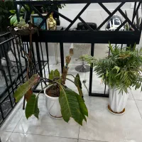 میز صندوق پاچال  سفارشی  لوستر