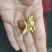 تعدادی اکسسوری شیک|بدلیجات|سی‌سخت, |دیوار