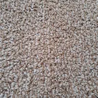 پالاز موکت در حد نو