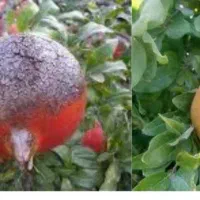 عیب یابی وبهبودمشکل