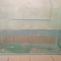 آکواریوم ماهی