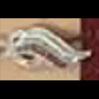 پلاک نگین دار سفید و قرمز گمشده