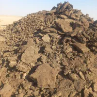 کود گوسفندی درجه یک|خدمات باغبانی و درختکاری|جرقویه, |دیوار