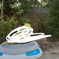روروئک و کاسکه بفروش می‌رسد