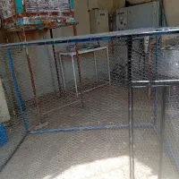 طوریخونه کفتر|لوازم جانبی حیوانات|قم, تعویض پلاک|دیوار