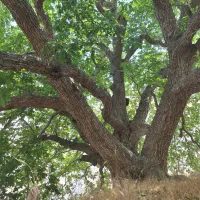 منزل ویلایی طبقه همکف